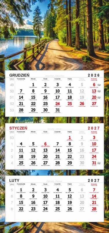 Kalendarz trójdzielny główka bez wypukłości KTR2 63508 DARRIEUS